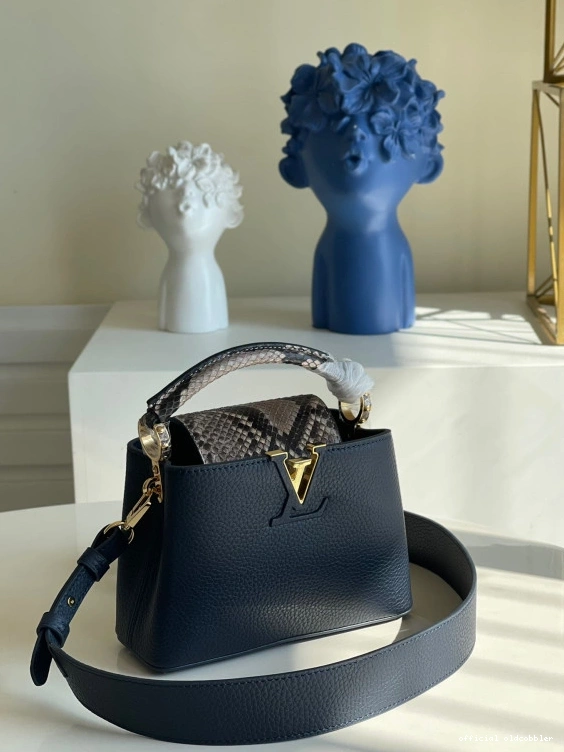 Official oldcobbler VUITTON LOUIS MINI CAPUCINES 0817